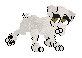 Octavious