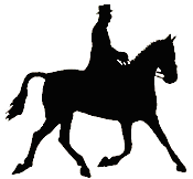 Horse graphic