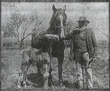 Uncle Jimmy Gregg - He raised Clydesdale Horses